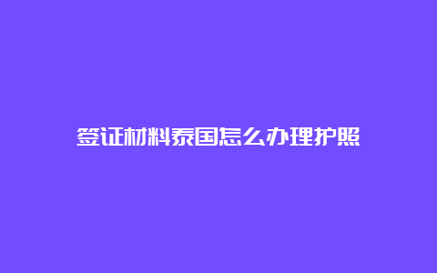 签证材料泰国怎么办理护照