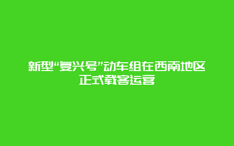 新型“复兴号”动车组在西南地区正式载客运营