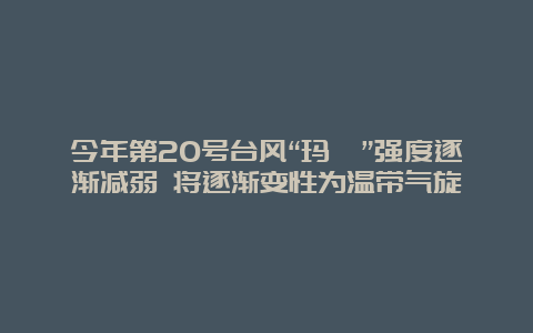 今年第20号台风“玛瑙”强度逐渐减弱 将逐渐变性为温带气旋