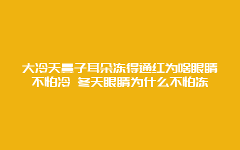 大冷天鼻子耳朵冻得通红为啥眼睛不怕冷 冬天眼睛为什么不怕冻