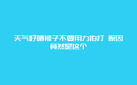 天气好晒被子不要用力拍打 原因竟然是这个