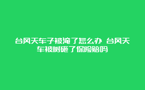 台风天车子被淹了怎么办 台风天车被树砸了保险赔吗