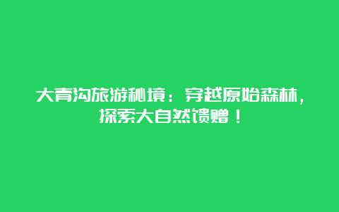 大青沟旅游秘境：穿越原始森林，探索大自然馈赠！