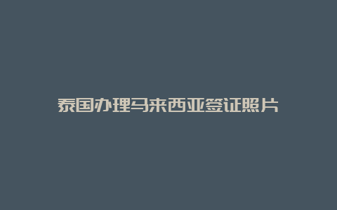 泰国办理马来西亚签证照片