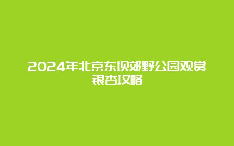 2024年北京东坝郊野公园观赏银杏攻略