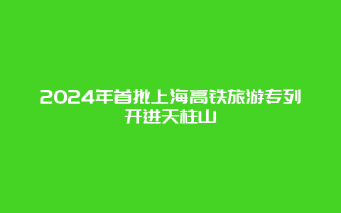 2024年首批上海高铁旅游专列开进天柱山