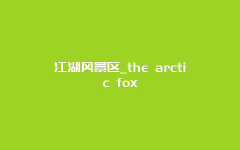 江湖风景区_the arctic fox