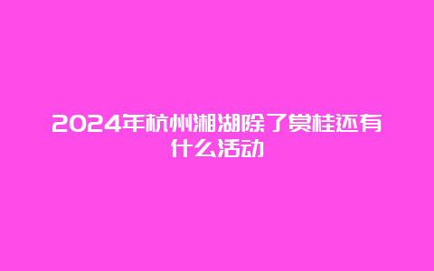 2024年杭州湘湖除了赏桂还有什么活动