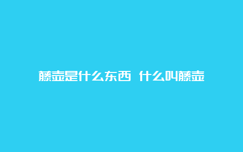 藤壶是什么东西 什么叫藤壶