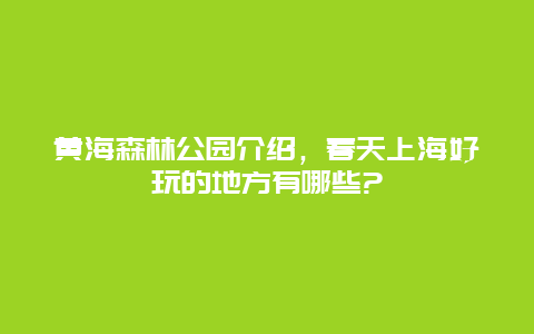 黄海森林公园介绍，春天上海好玩的地方有哪些?