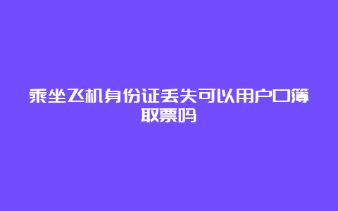 乘坐飞机身份证丢失可以用户口簿取票吗