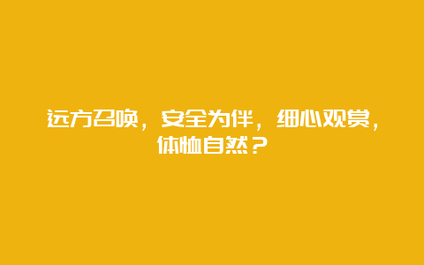 远方召唤，安全为伴，细心观赏，体恤自然？