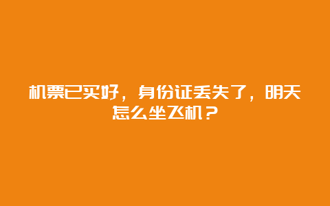 机票已买好，身份证丢失了，明天怎么坐飞机？