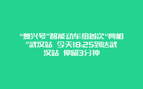 “复兴号”智能动车组首次“亮相”武汉站 今天18:25到达武汉站 停留3分钟