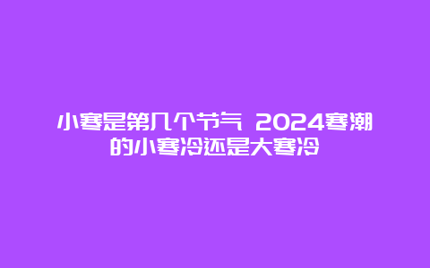 小寒是第几个节气 2024寒潮的小寒冷还是大寒冷