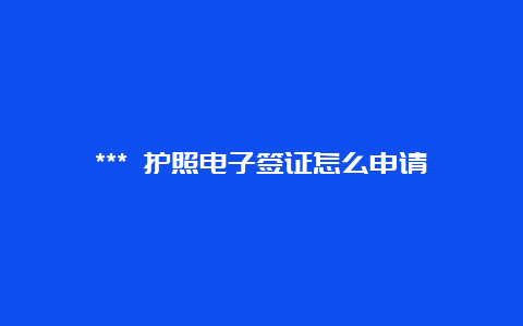 *** 护照电子签证怎么申请