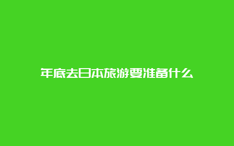 年底去日本旅游要准备什么