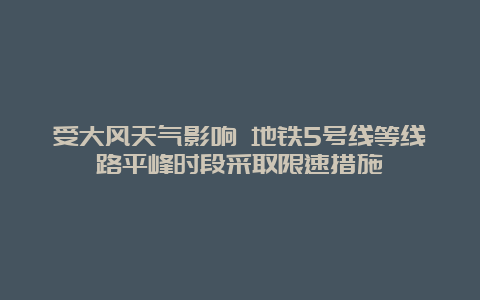 受大风天气影响 地铁5号线等线路平峰时段采取限速措施