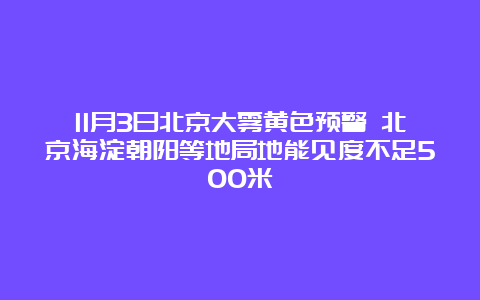 11月3日北京大雾黄色预警 北京海淀朝阳等地局地能见度不足500米