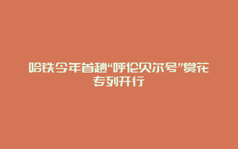 哈铁今年首趟“呼伦贝尔号”赏花专列开行