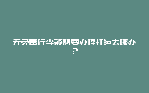 无免费行李额想要办理托运去哪办？