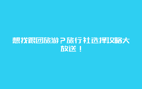 想找跟团旅游？旅行社选择攻略大放送！