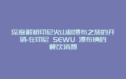 深度解析印尼火山和瀑布之旅的开销-在印尼 SEWU 瀑布镇的餐饮消费