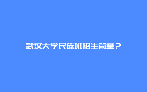 武汉大学民族班招生简章？