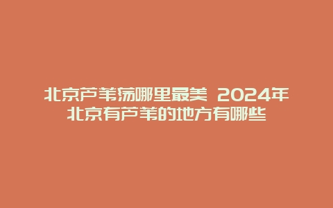 北京芦苇荡哪里最美 2024年北京有芦苇的地方有哪些