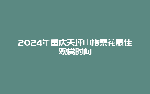 2024年重庆天坪山格桑花最佳观赏时间