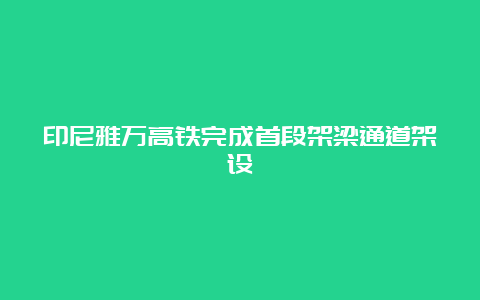 印尼雅万高铁完成首段架梁通道架设