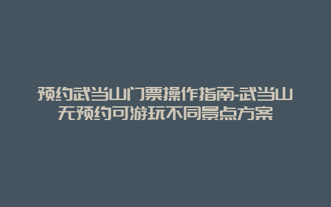 预约武当山门票操作指南-武当山无预约可游玩不同景点方案