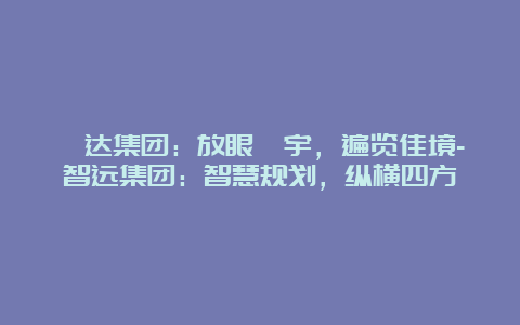 寰达集团：放眼寰宇，遍览佳境-智远集团：智慧规划，纵横四方