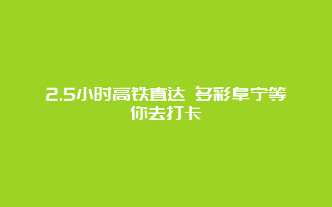 2.5小时高铁直达 多彩阜宁等你去打卡