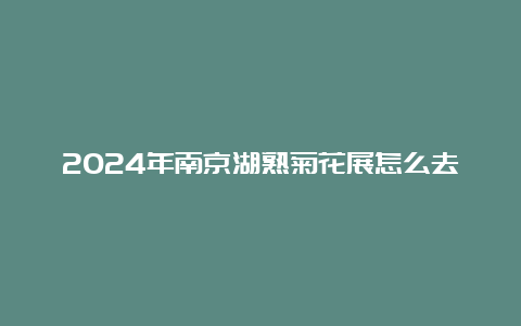 2024年南京湖熟菊花展怎么去