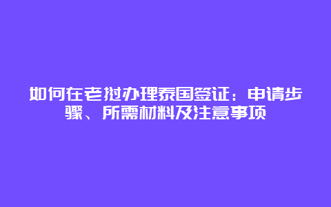 如何在老挝办理泰国签证：申请步骤、所需材料及注意事项