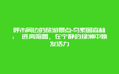 呼市周边的旅游景点-乌素图森林： 逃离喧嚣，在宁静的绿洲中焕发活力