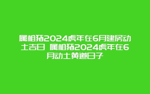 属相猪2024虎年在6月建房动土吉日 属相猪2024虎年在6月动土黄道日子