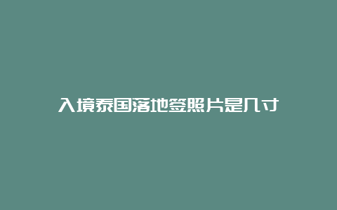 入境泰国落地签照片是几寸