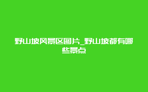 野山坡风景区图片_野山坡都有哪些景点