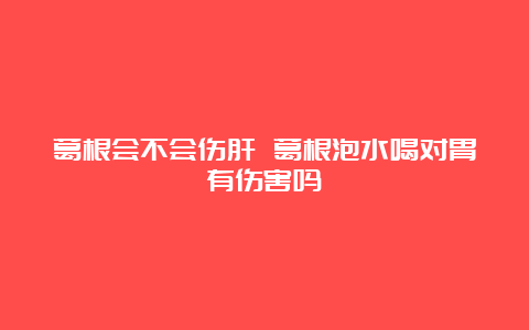 葛根会不会伤肝 葛根泡水喝对胃有伤害吗