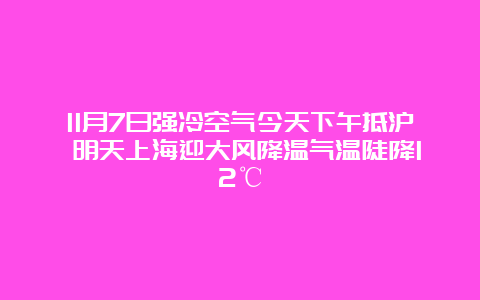 11月7日强冷空气今天下午抵沪 明天上海迎大风降温气温陡降12℃