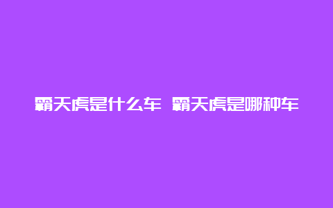 霸天虎是什么车 霸天虎是哪种车