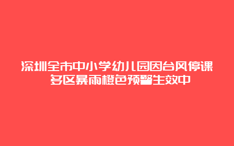 深圳全市中小学幼儿园因台风停课 多区暴雨橙色预警生效中