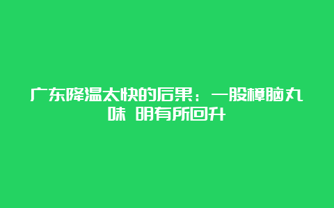 广东降温太快的后果：一股樟脑丸味 明有所回升