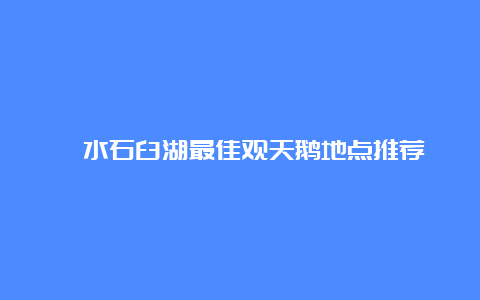 溧水石臼湖最佳观天鹅地点推荐