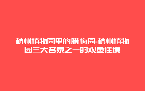 杭州植物园里的腊梅园-杭州植物园三大名泉之一的观鱼佳境