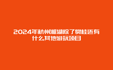 2024年杭州湘湖除了赏桂还有什么其他游玩项目