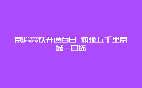 京哈高铁开通百日 体验五千里京城一日还