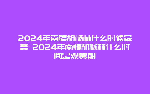 2024年南疆胡杨林什么时候最美 2024年南疆胡杨林什么时间是观赏期